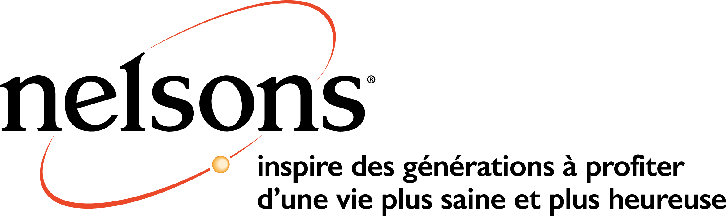Logo du laboratoire FAMADEM – NELSONS